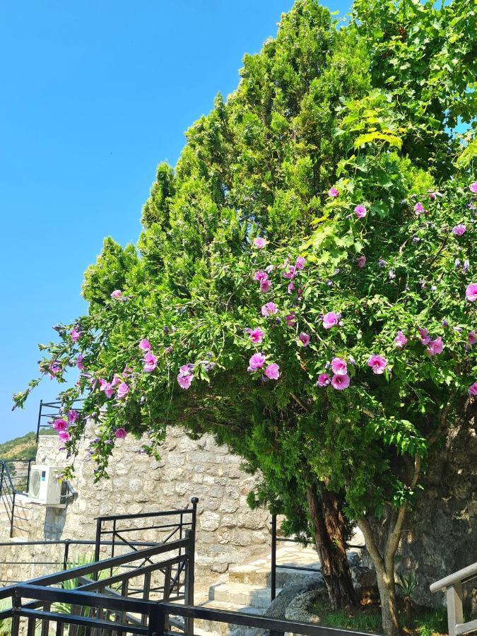 Villa Nera Budva Exteriör bild