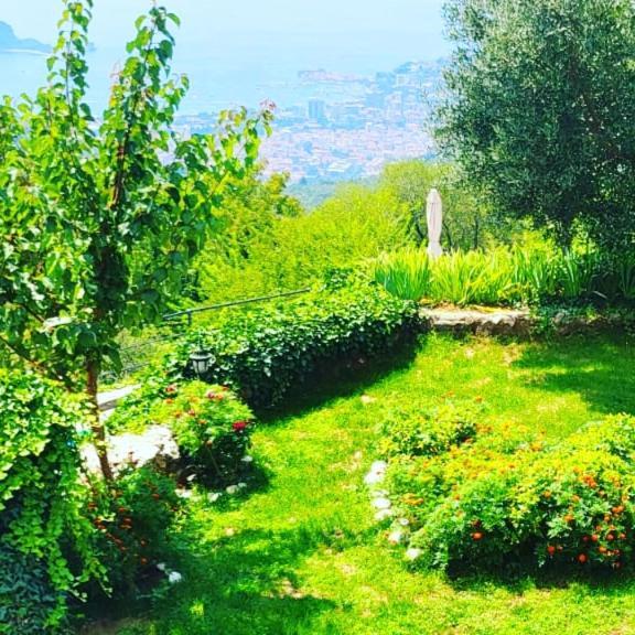 Villa Nera Budva Exteriör bild