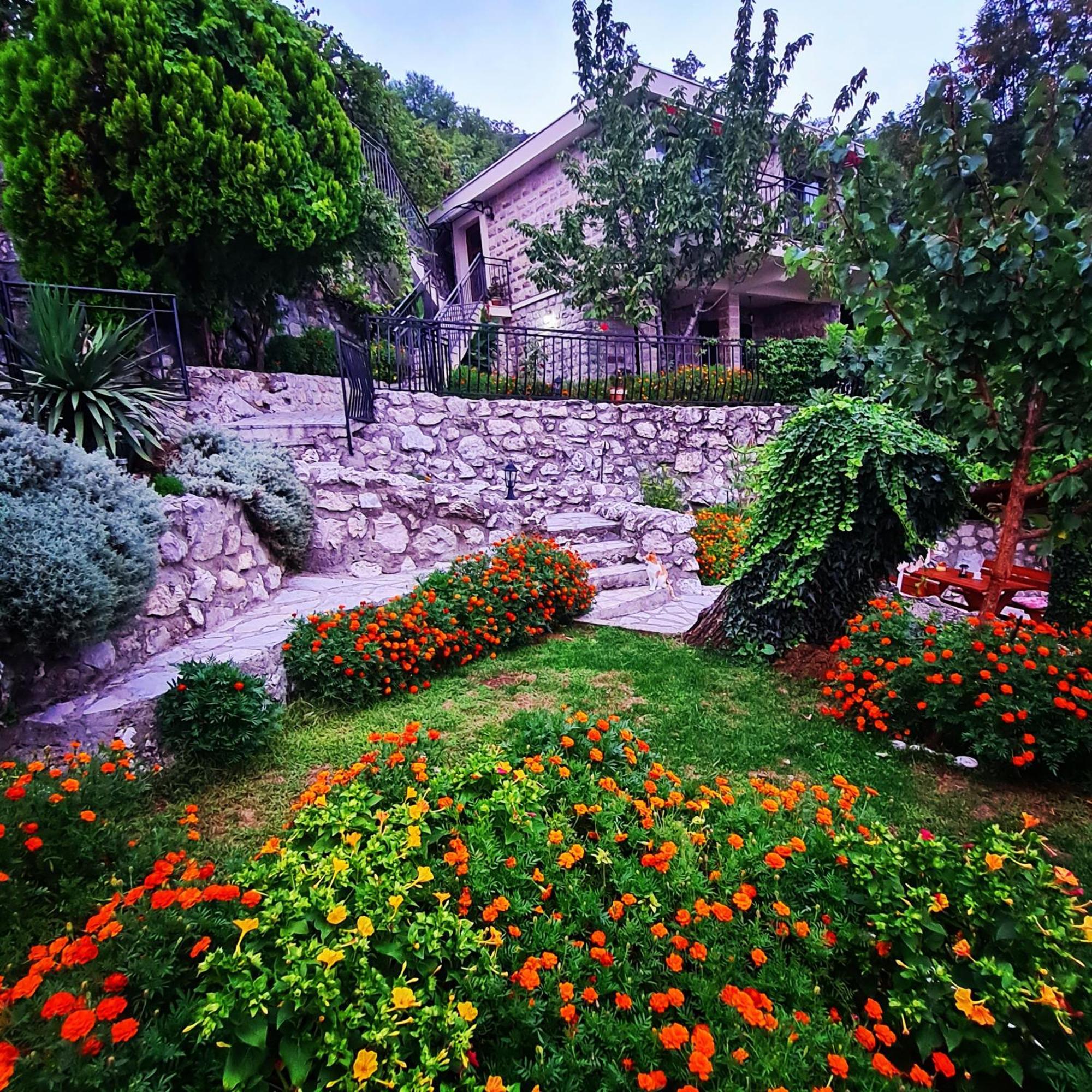 Villa Nera Budva Exteriör bild